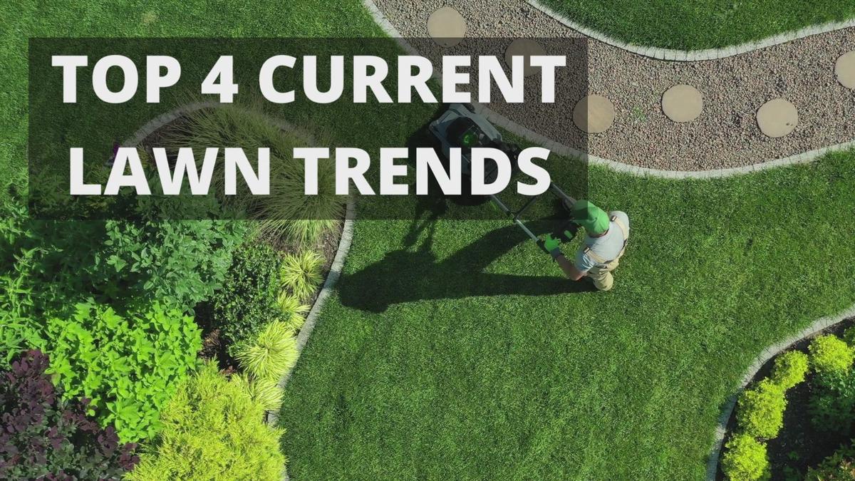 7 Best Lawn Bowls Brands