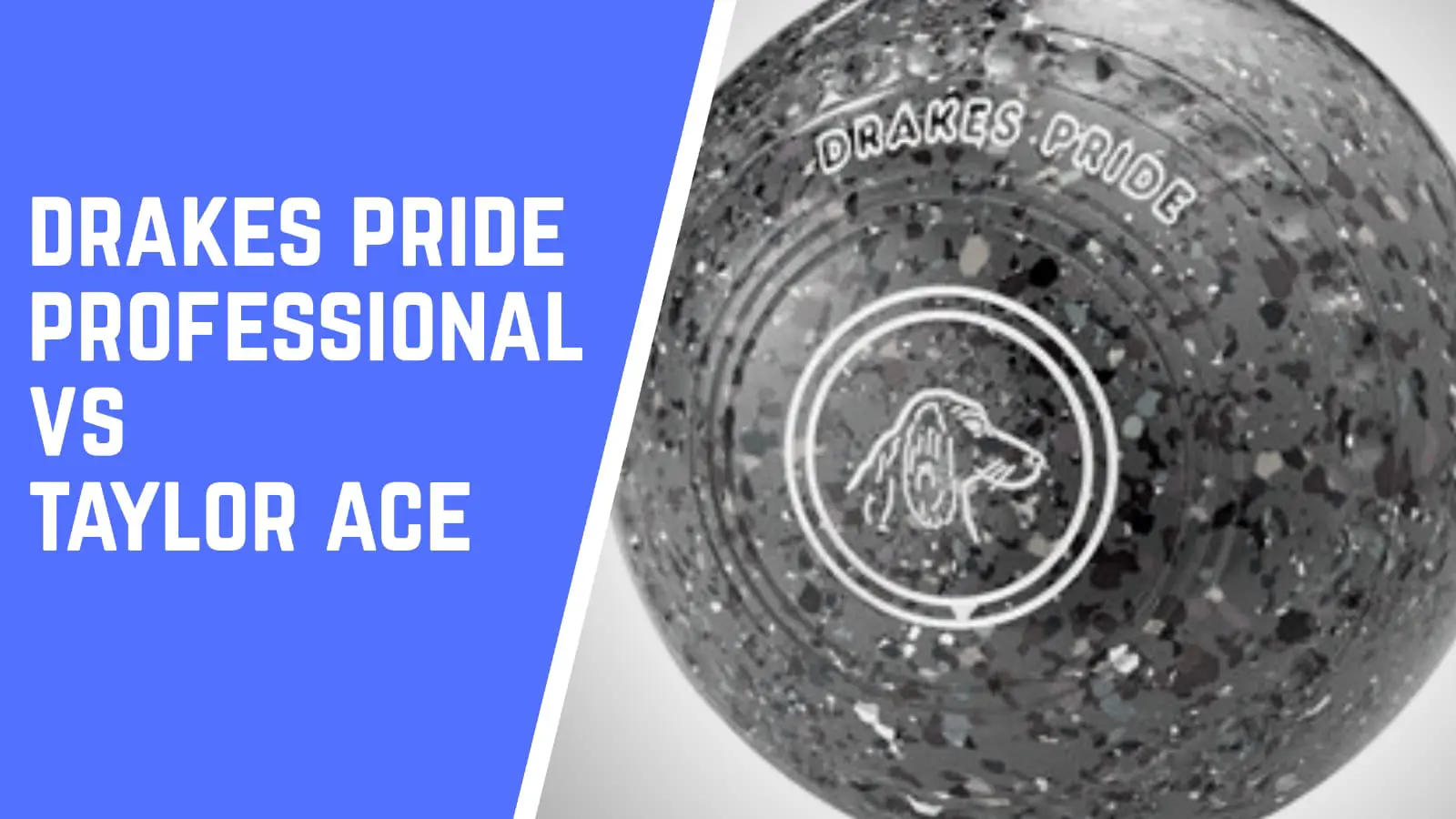 Drakes Pride Professional vs Taylor Ace - Which to choose?