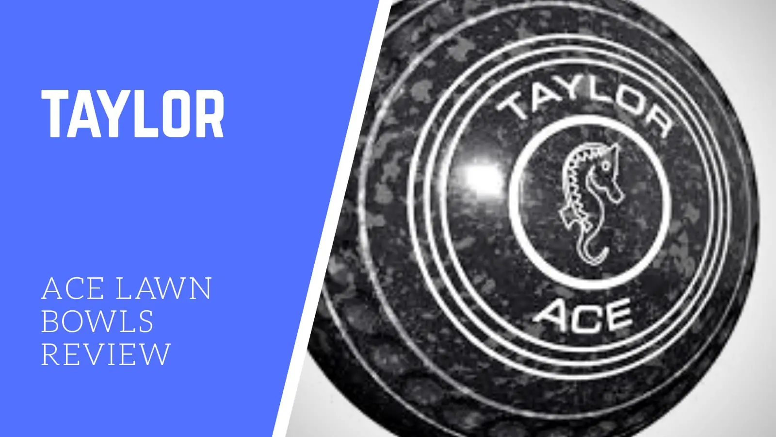 Taylor Ace Lawn Bowls Review