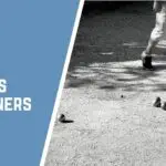 Tips for Boules Beginners | Top Tips To Improve Your Game