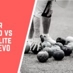 Taylor Lignoid vs Henselite Tiger EVO | Which is Best?